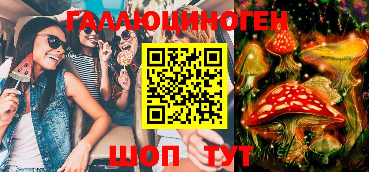 Псилоцибиновые грибы MAGIC MUSHROOMS  Галлюциногенные грибы мицелий  Вход с VPN  Карачаевск 