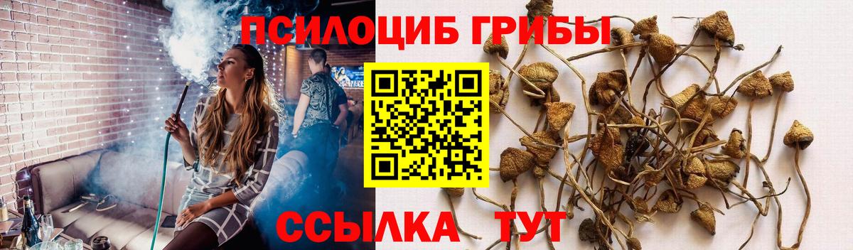 Галлюциногенные грибы мухоморы Карачаевск